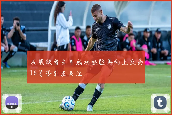 灰熊欲借去年成功经验再向上交易16号签引发关注